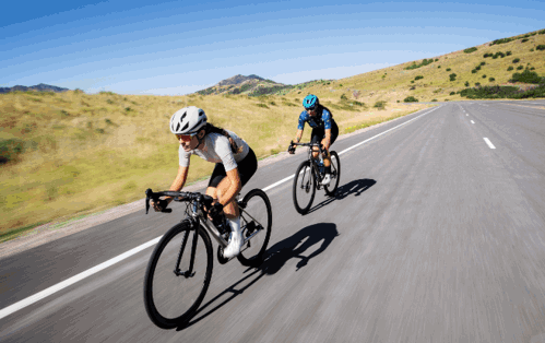 Riders with mountain bikes on a trail